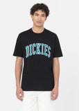 Dickies Heren Aitkin T-Shirt Zwart Deep Lake