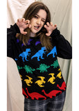 Run & Fly Rainbow Dino Jumper Trui Zwart