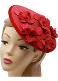 Succubus Fancy Cone Flowers 40's Strohoed Rood