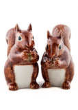 Succubus Home Animal Squirrel Peper & Zout Stelletje